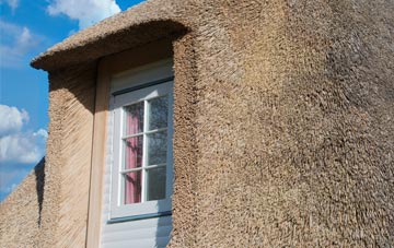 Penley thatch roof disadvantages
