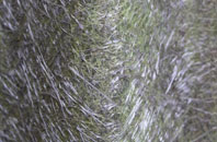 Penley fibreglass roof work