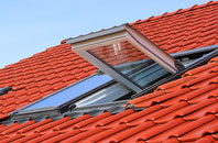Penley roof window